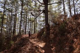 Bushman Trail walk in Bumthang